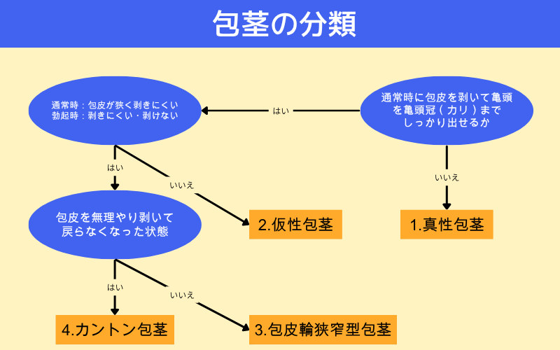 包茎の分類