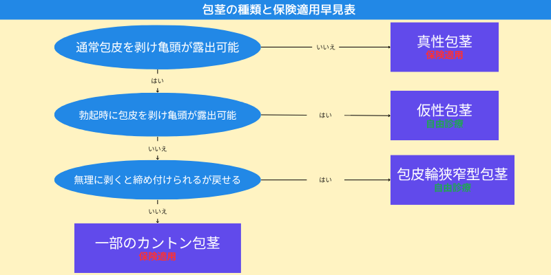  包茎の種類と保険適用早見表