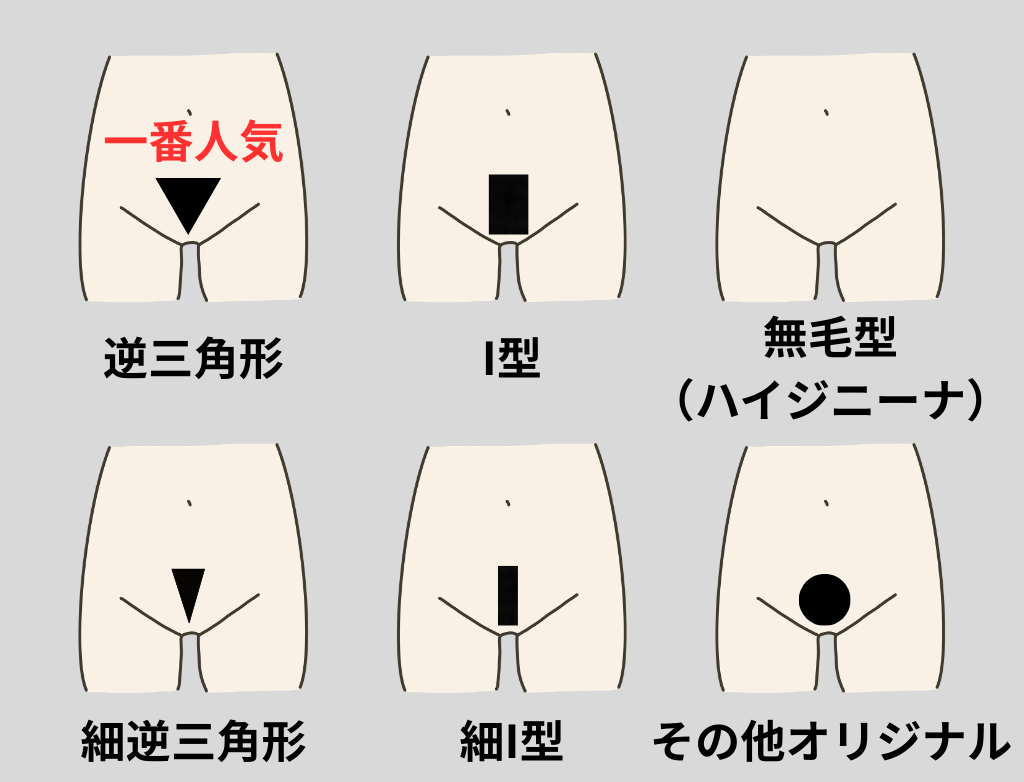 Vラインの6種類のデザイン